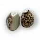 Natural Shell Salt and Pepper Shakers