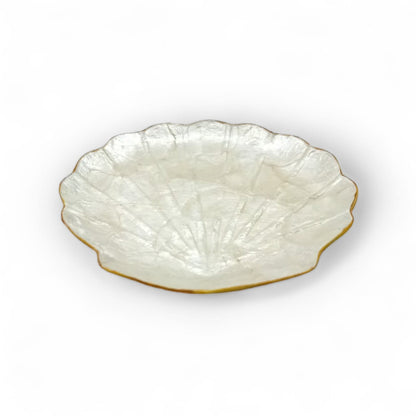White Shell Plate