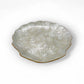 White Shell Plate